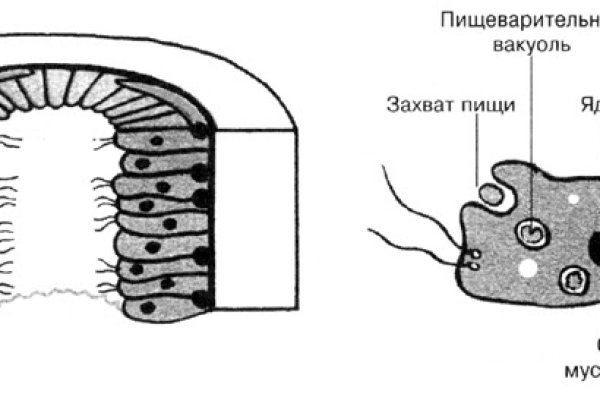 Кракен store