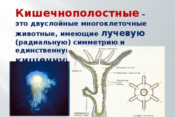 Кракен вход ссылка kraken torion net
