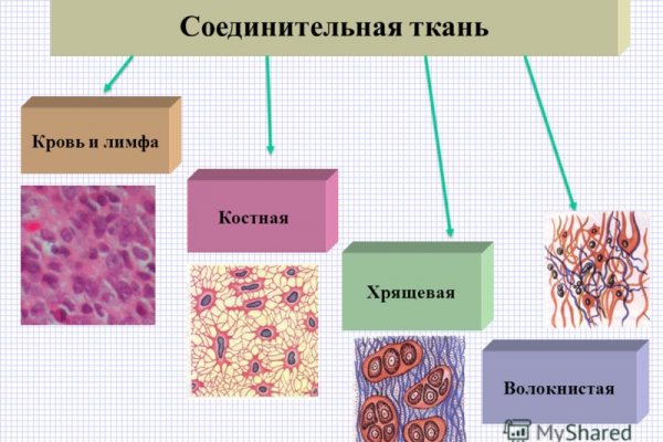 Кракен современный даркнет