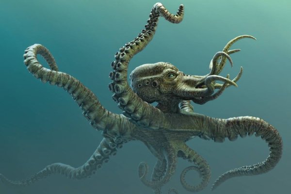 Kraken tor link