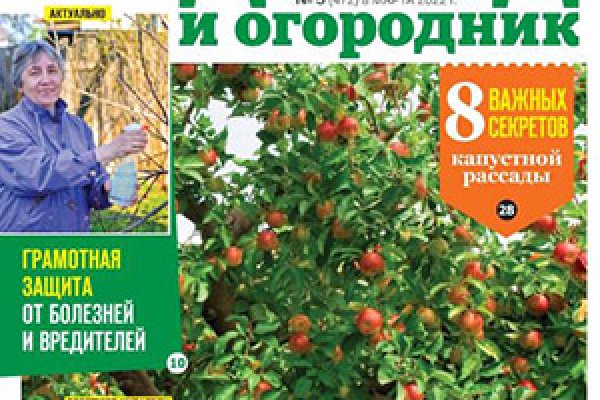 Даркнет официальный сайт на русском