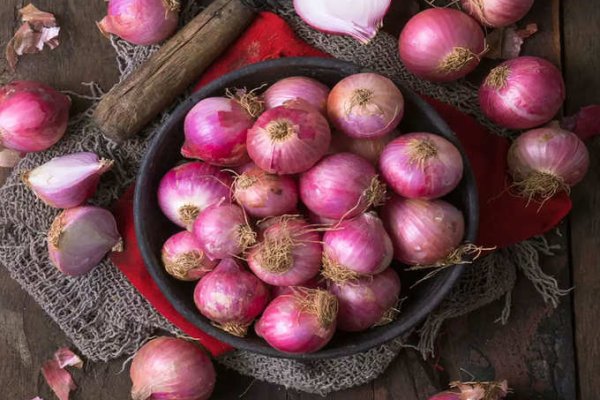 Kraken istand onion