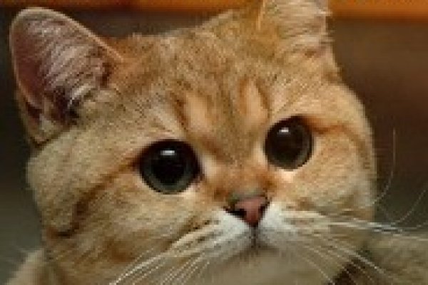 Кракен сайт наркота